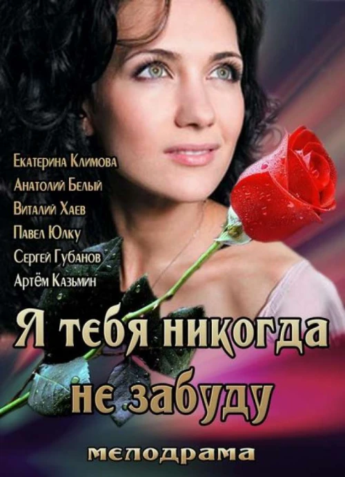 Я тебя никогда не забуду (2011)